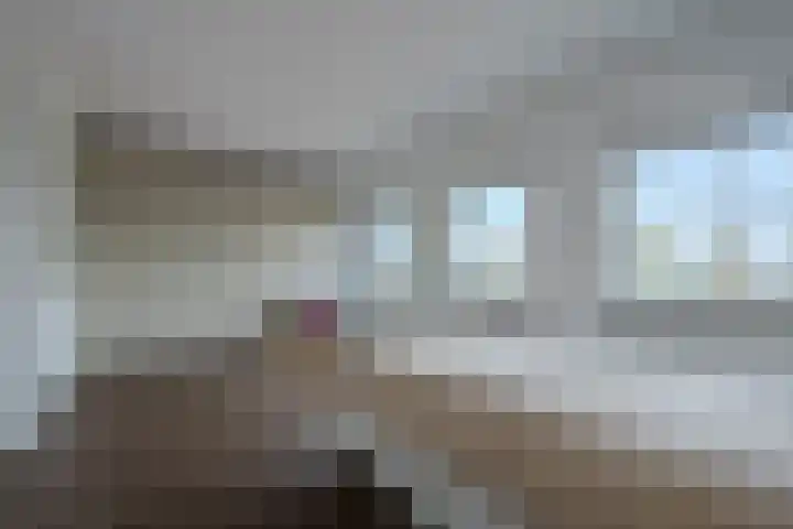 Wilgenroosje 12 Gorinchem thumbnail 17