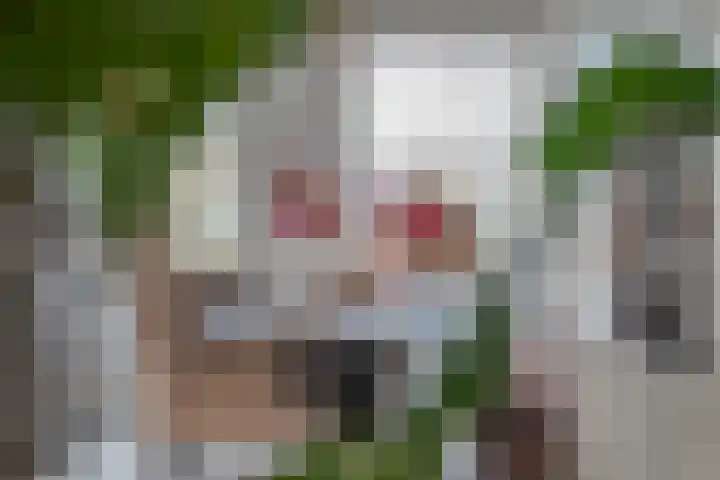 Wilgenroosje 12 Gorinchem thumbnail 5