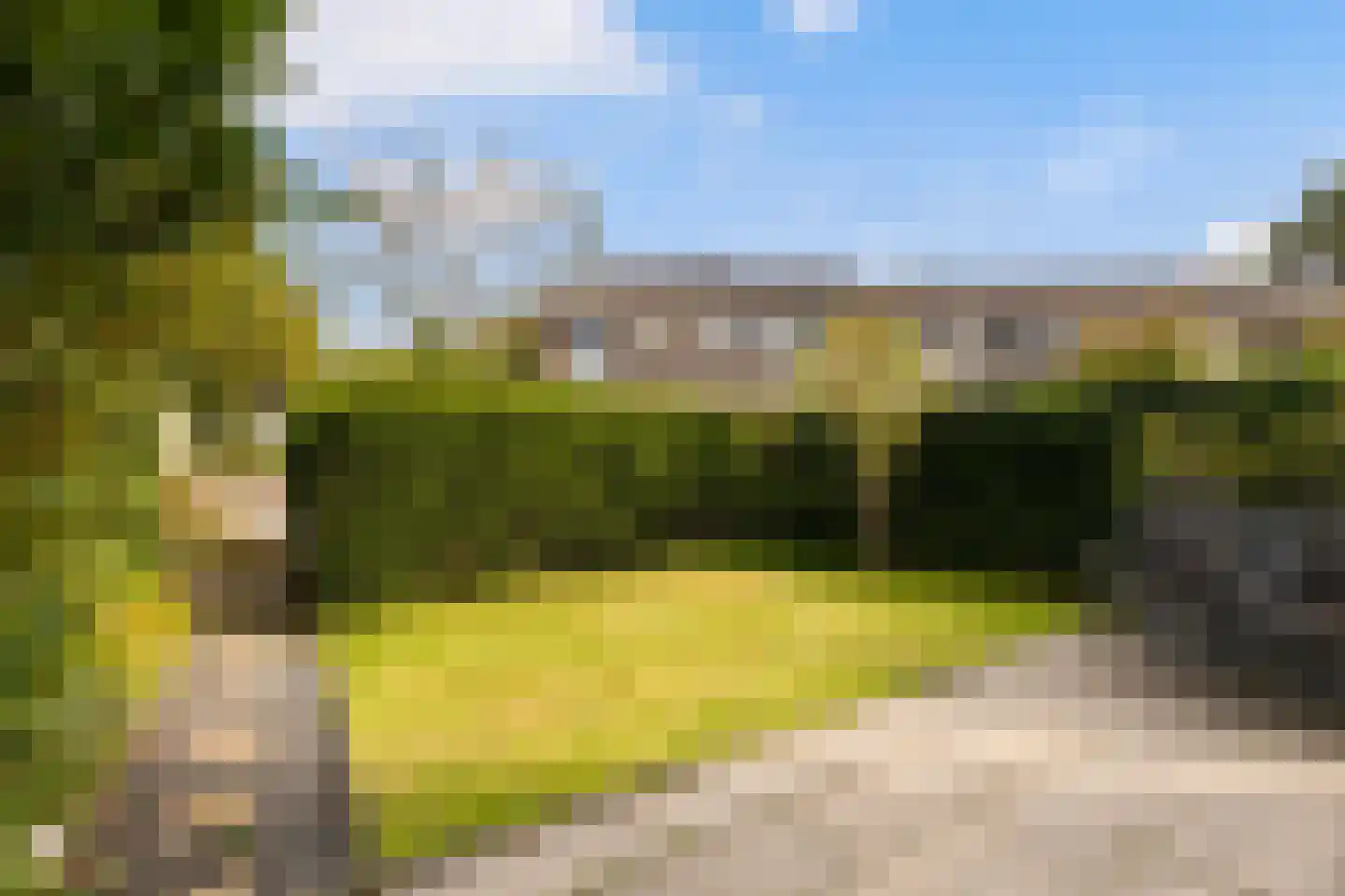 Wilgenroosje 13 Leeuwarden thumbnail 30