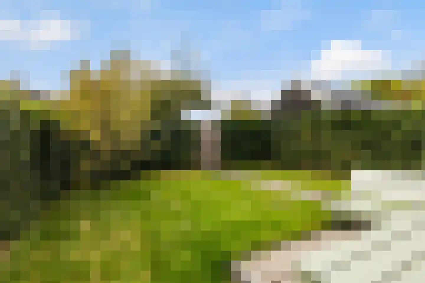 Wilgenroosje 13 Leeuwarden thumbnail 31