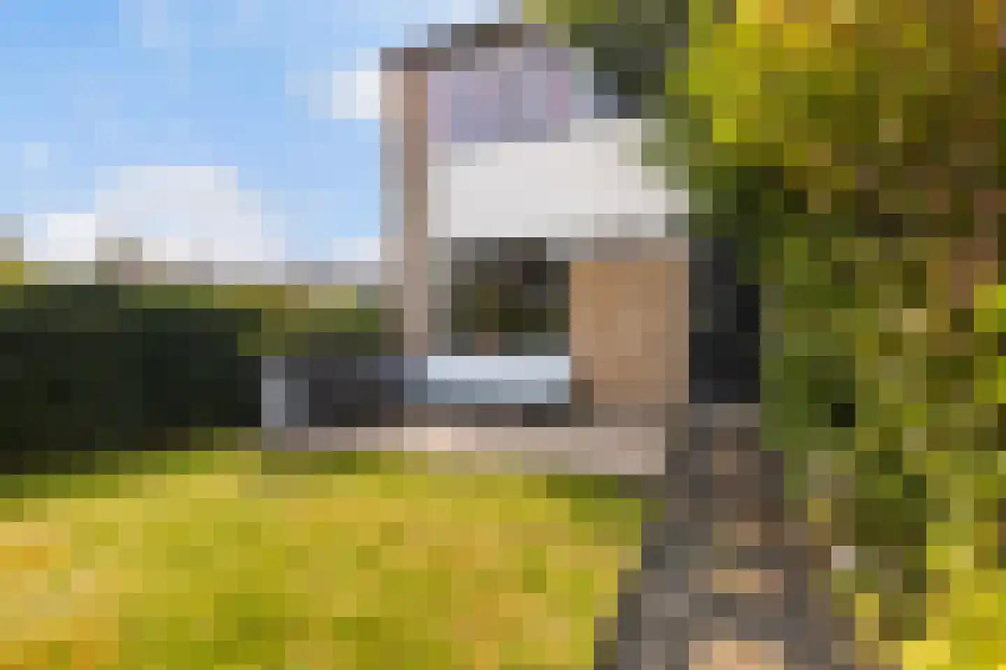 Wilgenroosje 13 Leeuwarden thumbnail 8