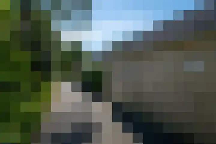 Wilgenroosje 24 Leeuwarden thumbnail 13