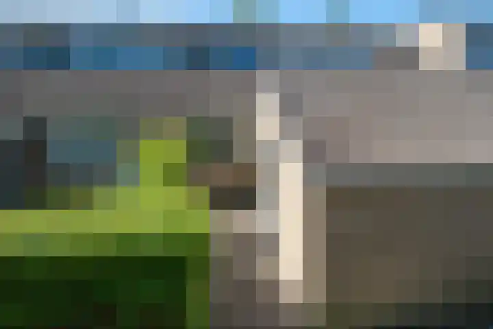 Wilgenroosje 24 Leeuwarden thumbnail 7