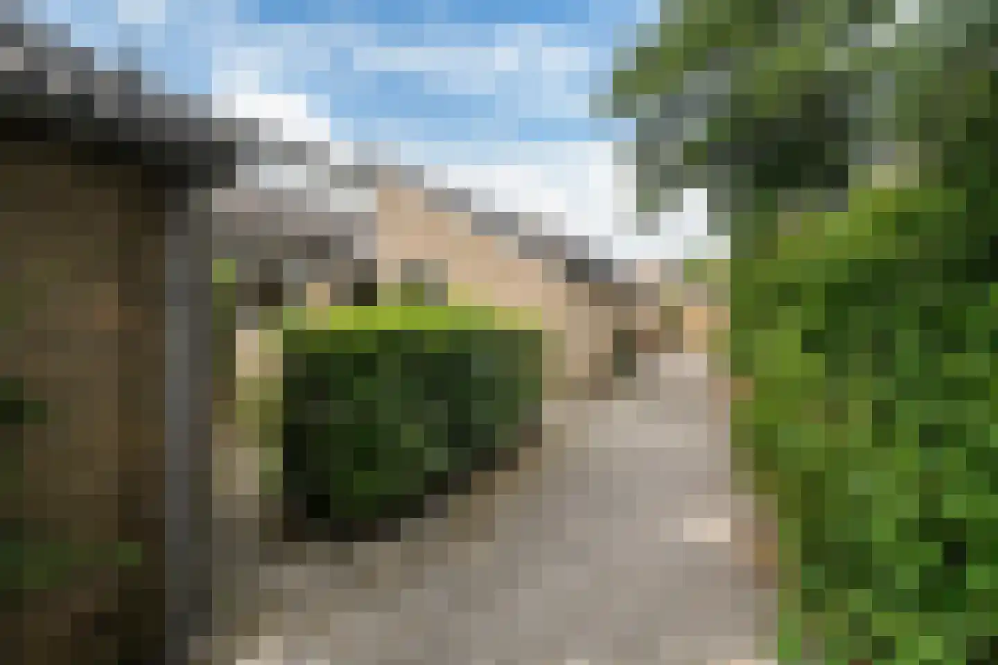 Wilgenroosje 28 Leeuwarden thumbnail 28