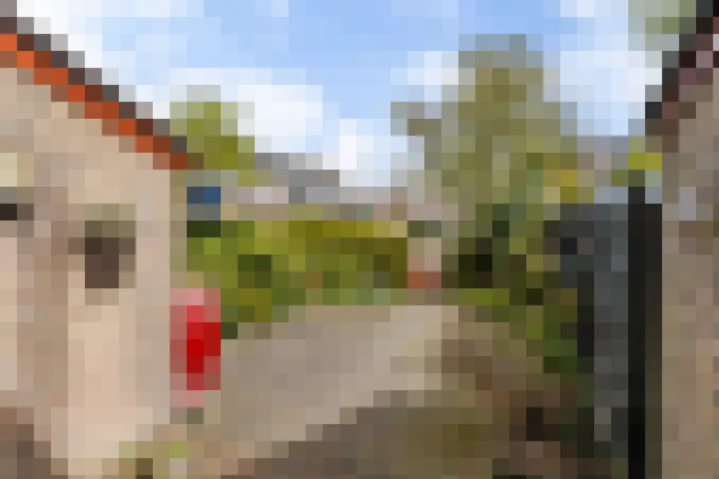Wilgenroosje 33 Leeuwarden thumbnail 15
