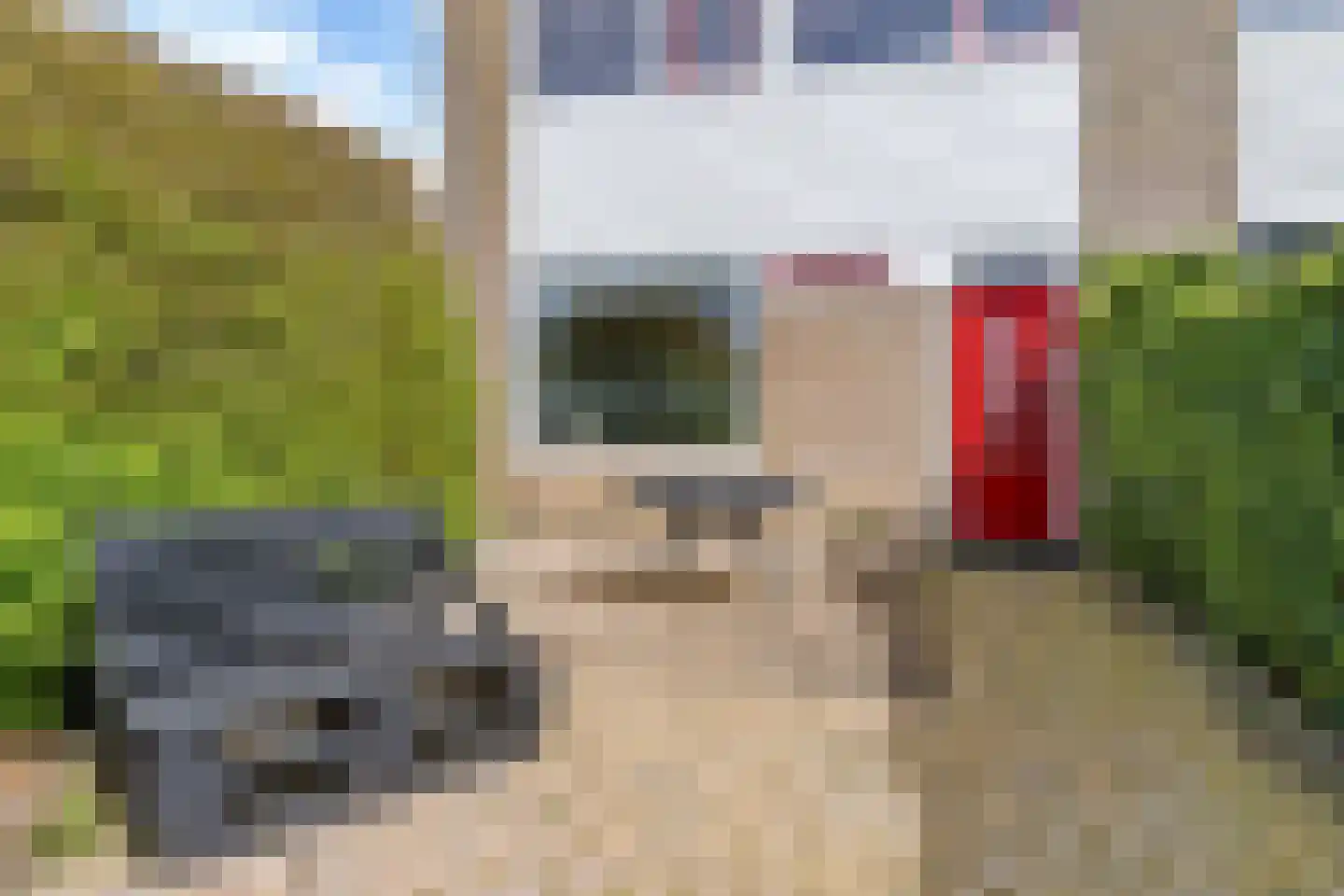 Wilgenroosje 33 Leeuwarden thumbnail 32