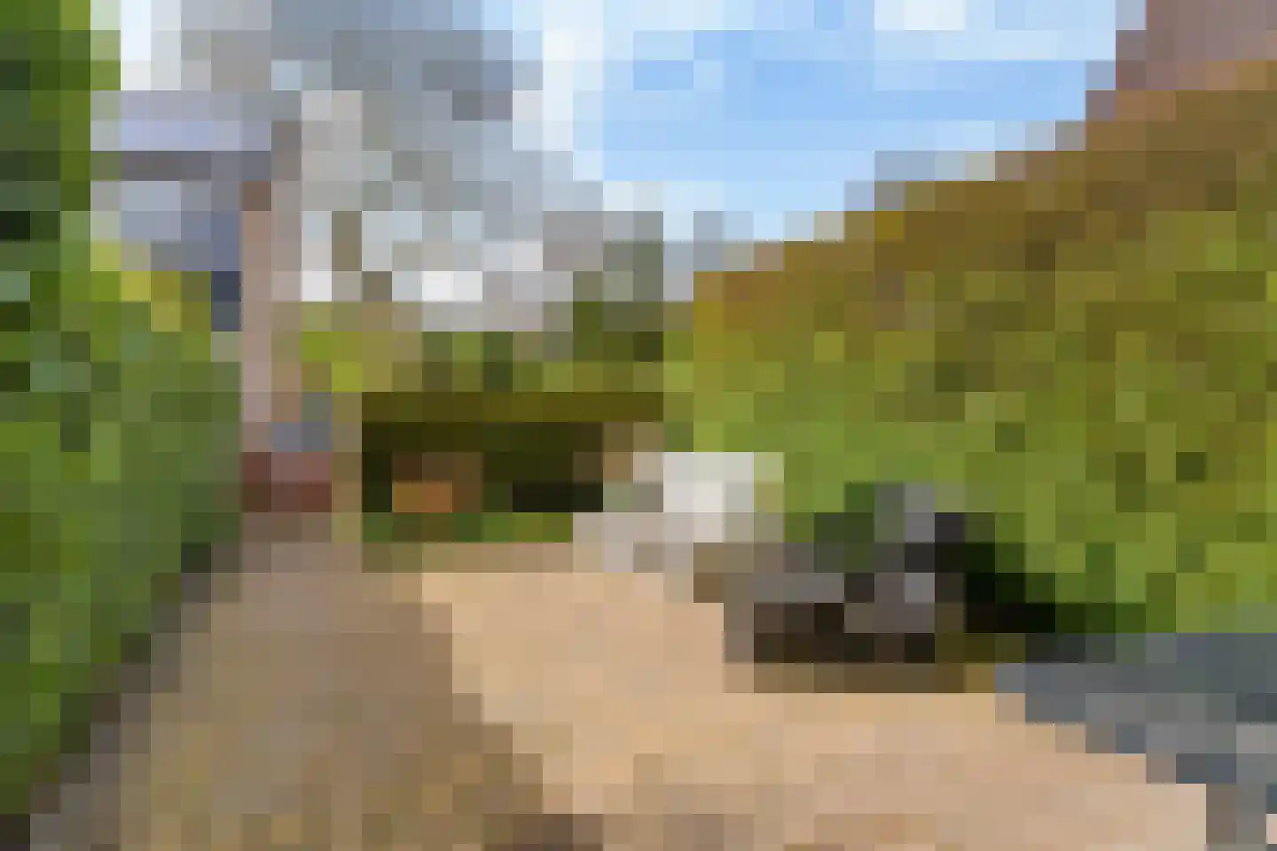 Wilgenroosje 33 Leeuwarden thumbnail 33