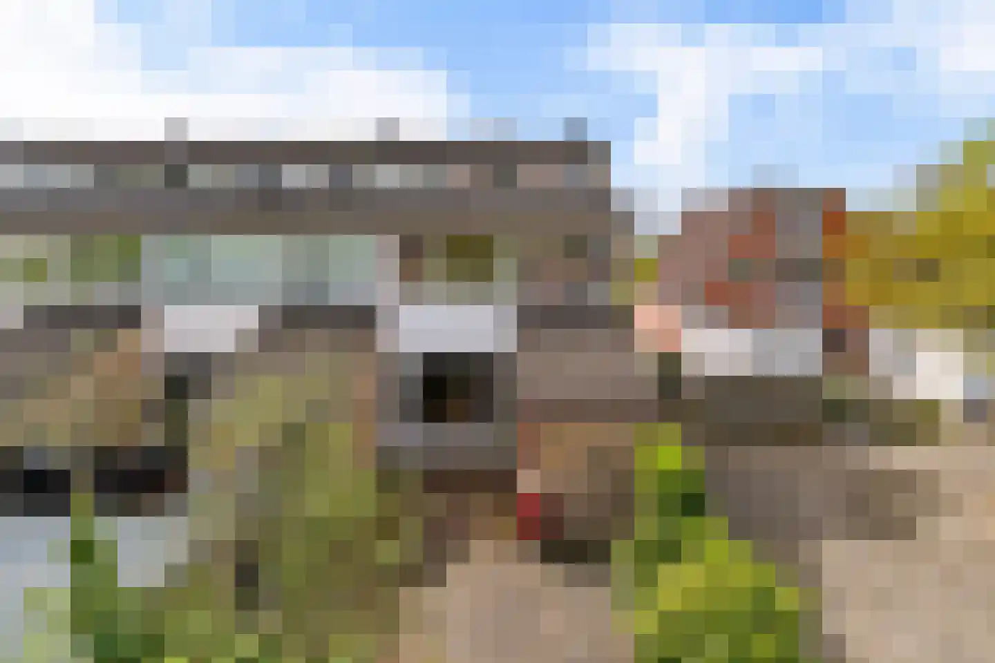 Wilgenroosje 33 Leeuwarden thumbnail 39