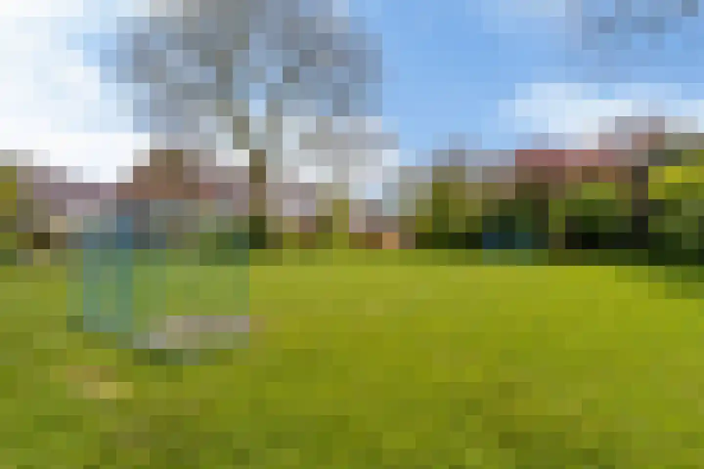Wilgenroosje 33 Leeuwarden thumbnail 41