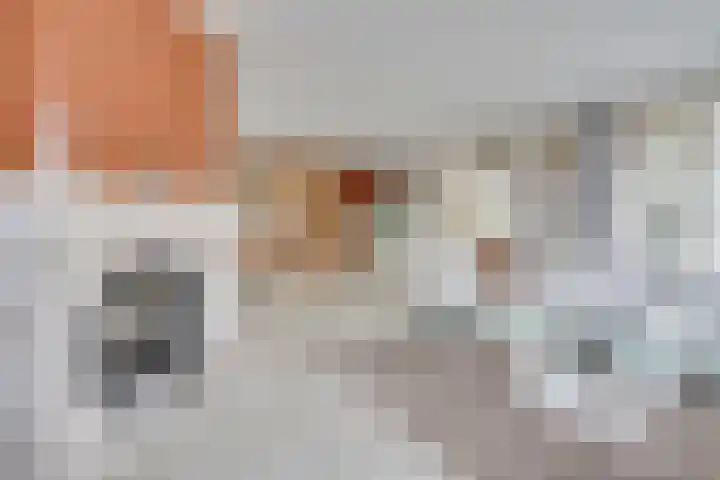 Wilgenrooslaan 27 Vleuten thumbnail 15