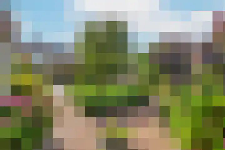 Wilgenrooslaan 27 Vleuten thumbnail 16