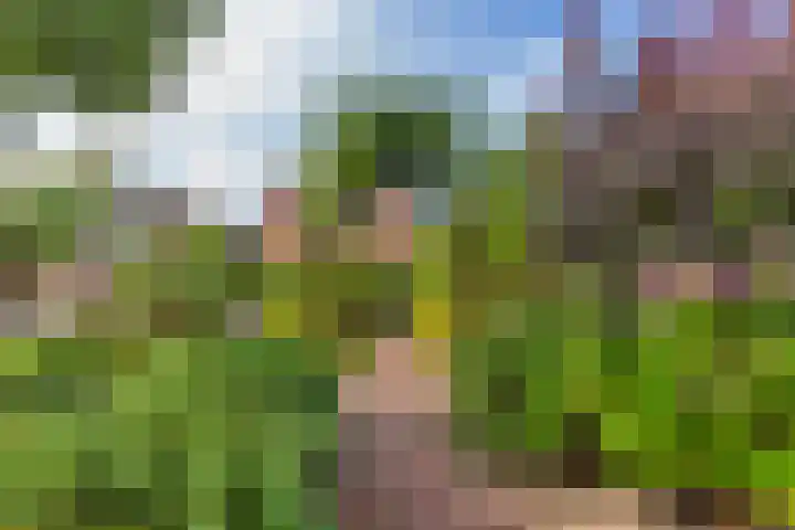 Wilgenrooslaan 27 Vleuten thumbnail 18