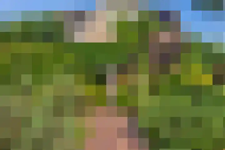 Wilgenrooslaan 27 Vleuten thumbnail 19