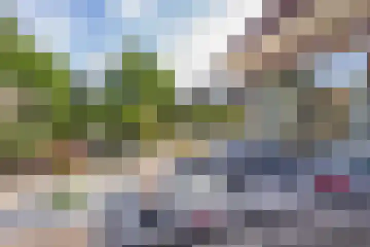 Wilgenrooslaan 27 Vleuten thumbnail 21