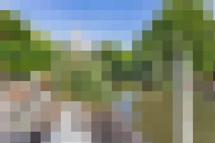 Wilgenrooslaan 27 Vleuten thumbnail 23