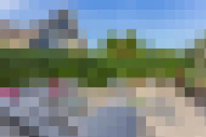 Wilgenrooslaan 27 Vleuten thumbnail 24