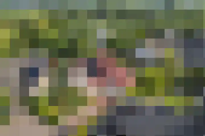Wilgenrooslaan 27 Vleuten thumbnail 27