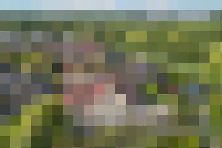 Wilgenrooslaan 27 Vleuten thumbnail 29