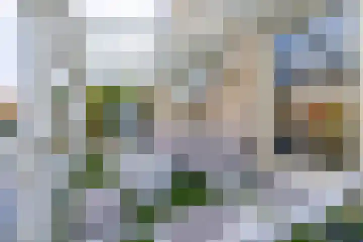 Wilgenrooslaan 27 Vleuten thumbnail 32