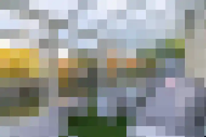 Wilgenrooslaan 27 Vleuten thumbnail 33
