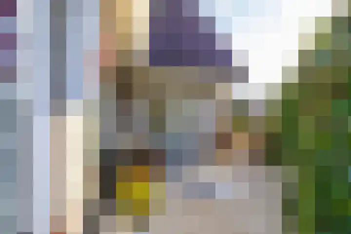 Wilgenrooslaan 27 Vleuten thumbnail 35