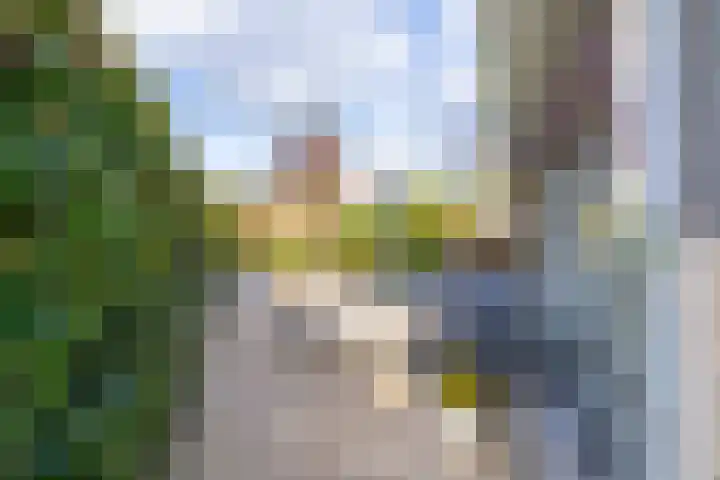 Wilgenrooslaan 27 Vleuten thumbnail 36