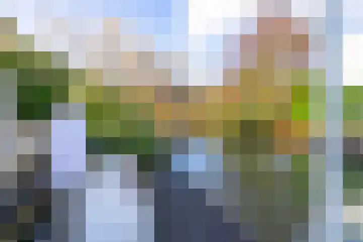 Wilgenrooslaan 27 Vleuten thumbnail 38