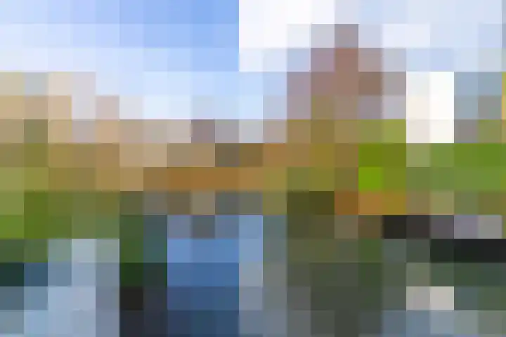 Wilgenrooslaan 27 Vleuten thumbnail 39