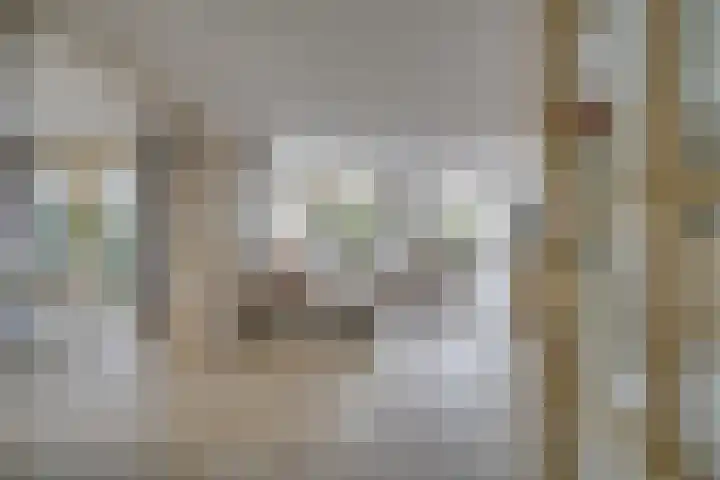 Wilgenrooslaan 27 Vleuten thumbnail 5