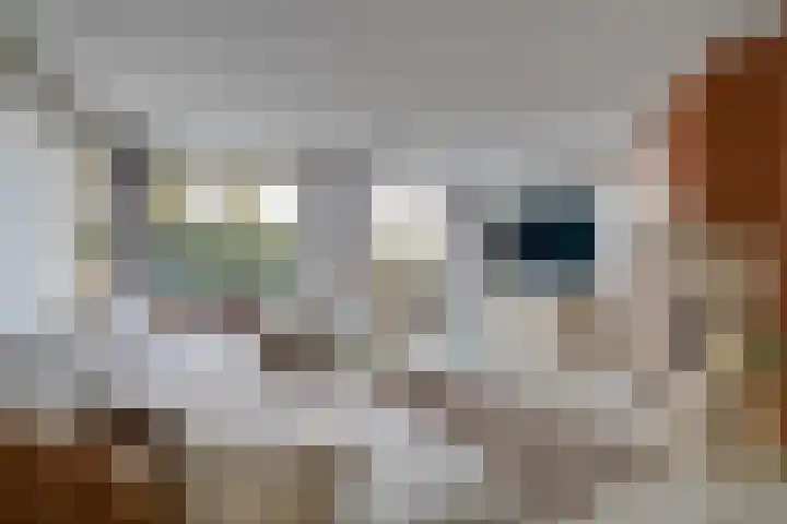 Wilgenrooslaan 27 Vleuten thumbnail 6