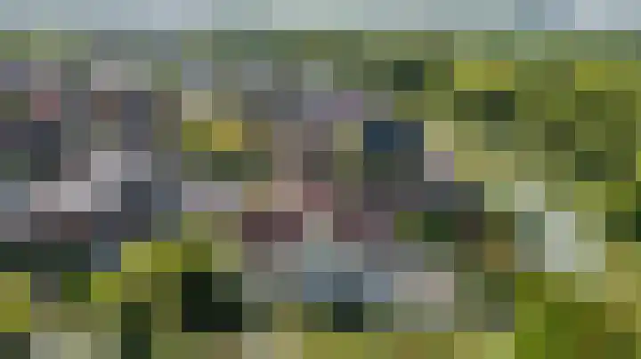 Wilgenrooslaan 27 Vleuten thumbnail 67