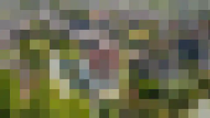 Wilgenrooslaan 27 Vleuten thumbnail 68