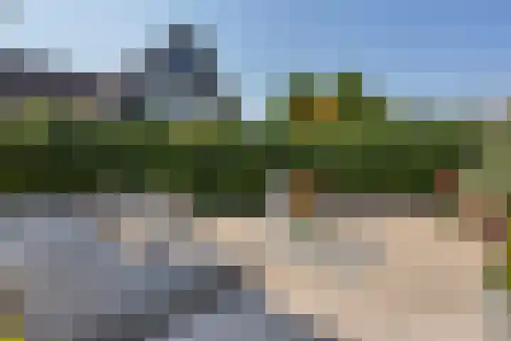 Wilgenrooslaan 27 Vleuten thumbnail 69