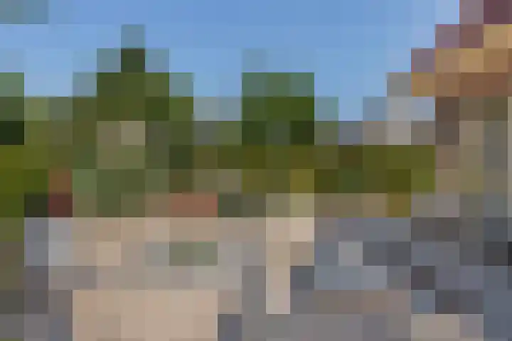 Wilgenrooslaan 27 Vleuten thumbnail 71