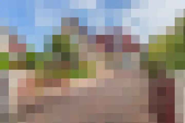 Wilgenrooslaan 27 Vleuten thumbnail 72
