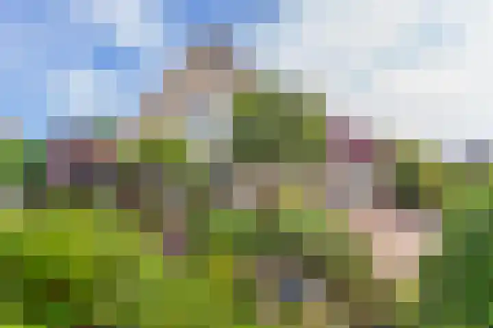 Wilgenrooslaan 27 Vleuten thumbnail 73