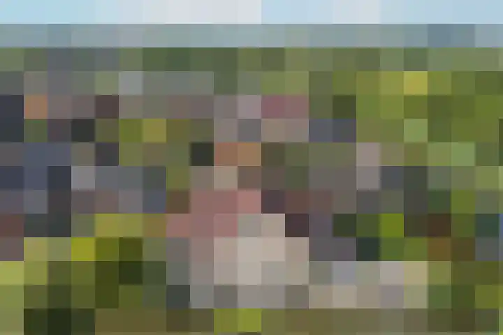 Wilgenrooslaan 27 Vleuten thumbnail 74