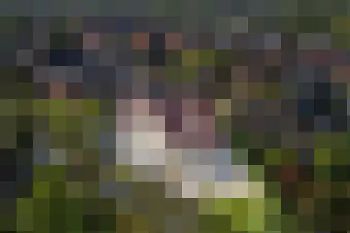 Wilgenrooslaan 27 Vleuten thumbnail 75