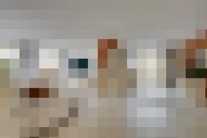 Wilgenrooslaan 27 Vleuten thumbnail 8