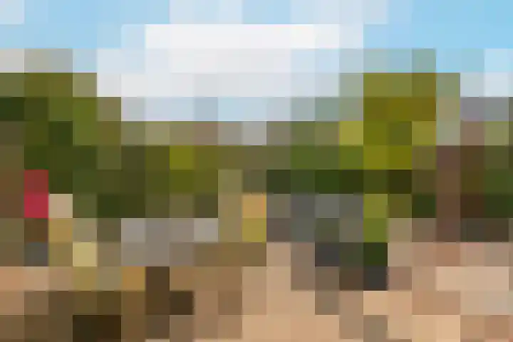 Wilgenrooslaan 51 Vleuten thumbnail 22