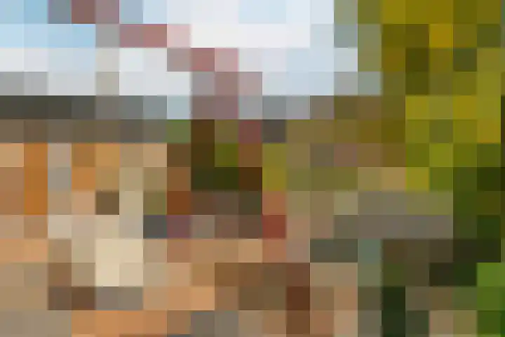 Wilgenrooslaan 51 Vleuten thumbnail 23