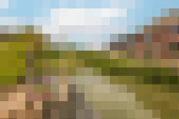 Wilgenrooslaan 51 Vleuten thumbnail 30