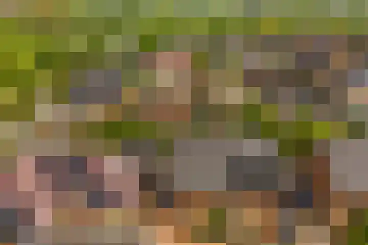 Wilgenrooslaan 51 Vleuten thumbnail 4