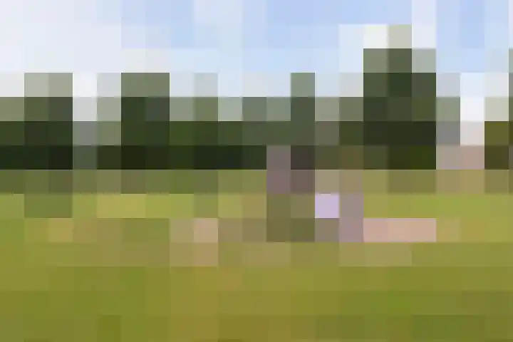 Wilgenrooslaan 51 Vleuten thumbnail 47