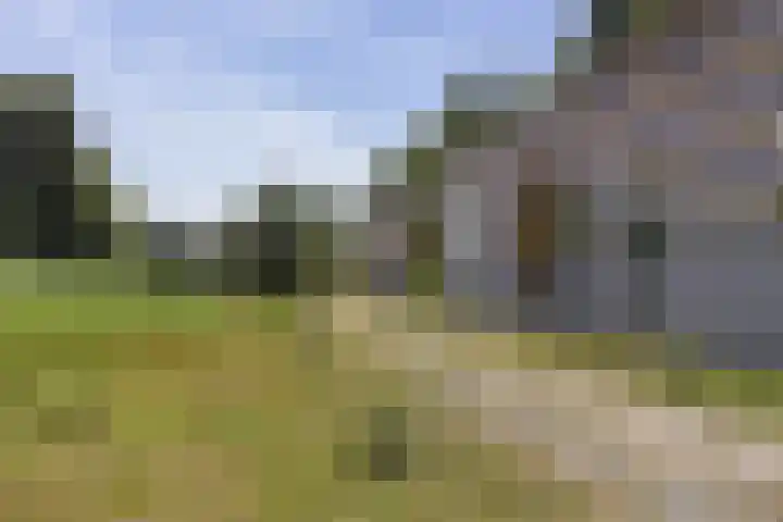 Wilgenrooslaan 51 Vleuten thumbnail 48