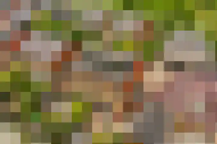 Wilgenrooslaan 51 Vleuten thumbnail 5