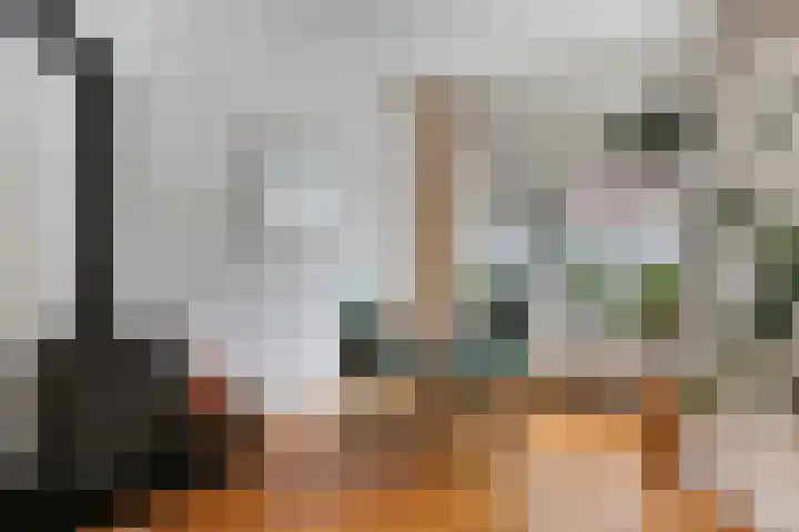 Wilgenroosstraat 14 Eindhoven thumbnail 10