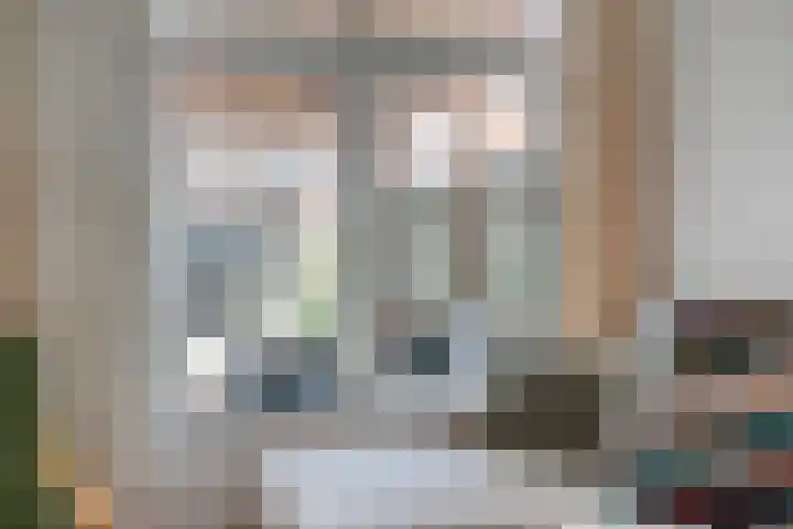 Wilgenroosstraat 14 Eindhoven thumbnail 13