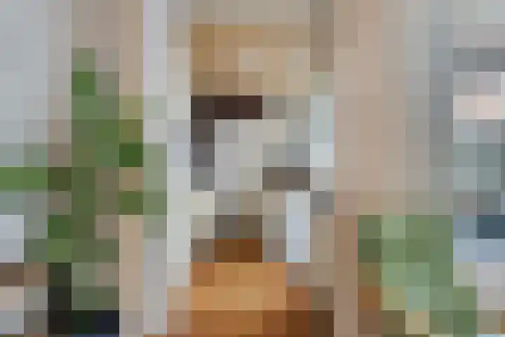 Wilgenroosstraat 14 Eindhoven thumbnail 14