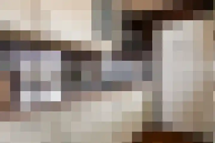 Wilgenroosstraat 14 Eindhoven thumbnail 17